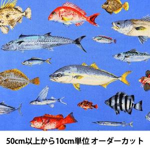 魚 リアル イラストの商品一覧 通販 Yahoo ショッピング