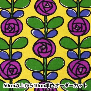 生地  COTTON KOBAYASHI コットンこばやし 小林繊維