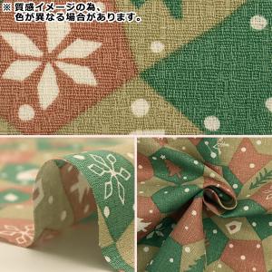 【数量5から】 生地 『綿麻バッキンガム ノエ...の詳細画像2