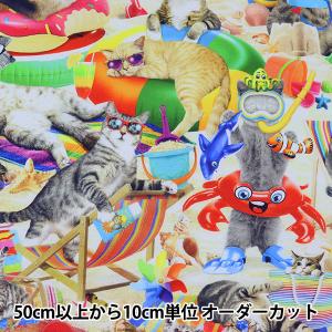 【数量5から】 生地 『USAコットン キャッツ・オン・ザビーチ マルチカラー CAT-CD8843』