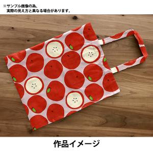 【数量5から】 生地 『オックスフォード リン...の詳細画像3