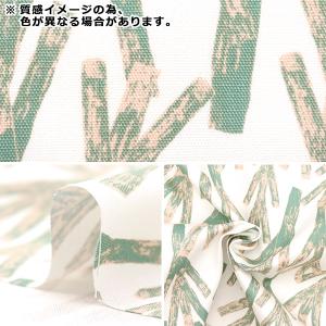 【数量5から】 生地 『kippis (キッピ...の詳細画像2