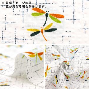 【数量5から】 生地 『リップル とんぼ ネイ...の詳細画像2