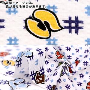 【数量5から】 生地 『リップル いろは サッ...の詳細画像2