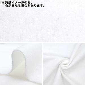 【数量5から】 生地 『300 カラーネル 薄...の詳細画像1