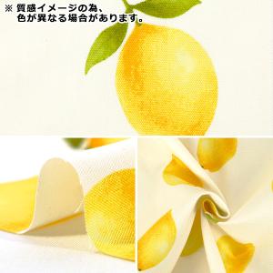 【数量5から】 生地 『オックス フルーツ柄 ...の詳細画像2
