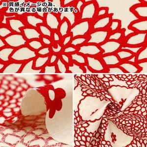 【数量5から】 生地 『う早この布 サザンクロ...の詳細画像2