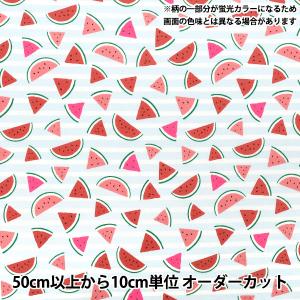 【数量5から】 生地 『シーチング スイカ ブル...の商品画像
