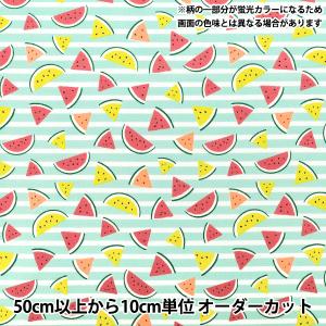 【数量5から】 生地 『シーチング スイカ グリーン SSUI-GR』