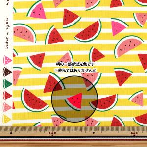 【数量5から】 生地 『シーチング スイカ イ...の詳細画像1
