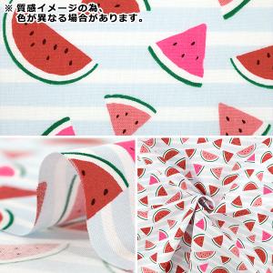 【数量5から】 生地 『シーチング スイカ イ...の詳細画像2