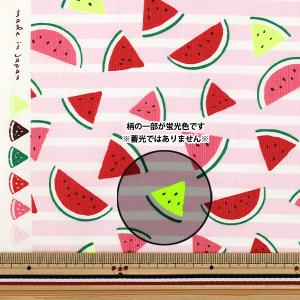 【数量5から】 生地 『シーチング スイカ ピ...の詳細画像1