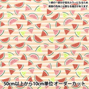 【数量5から】 生地 『シーチング スイカ オレンジ SSUI-OR』