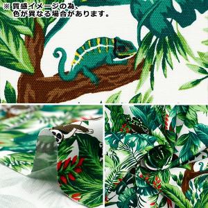 【数量5から】 生地 『オックス トロピカル ...の詳細画像2