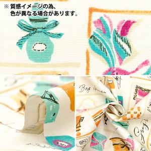 【数量5から】 生地 『ブロード ブティックバ...の詳細画像2