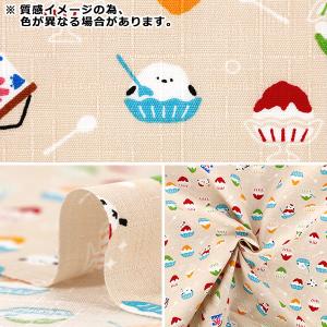 【数量5から】 生地 『ドビー わものがたり ...の詳細画像2