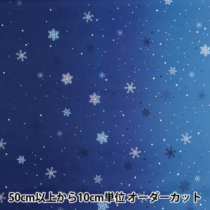 【数量5から】 生地 『スケア Xmas グラデ...の商品画像