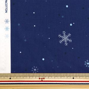 【数量5から】 生地 『スケア Xmas グラ...の詳細画像1