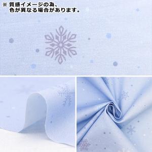 【数量5から】 生地 『スケア Xmas グラ...の詳細画像2