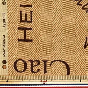 【数量5から】 生地 『オックス ヤーンダイ ...の詳細画像1