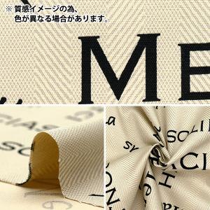 【数量5から】 生地 『オックス ヤーンダイ ...の詳細画像2