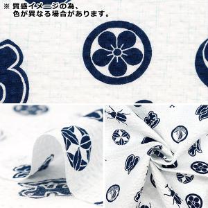 【数量5から】 生地 『リップル いろは ブル...の詳細画像2