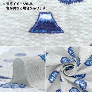 【数量5から】 生地 『リップル 絞り風和柄 ...の詳細画像2