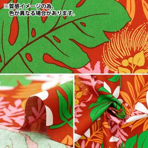 【数量5から】 生地 『ブロード ハワイアンプ...の詳細画像2
