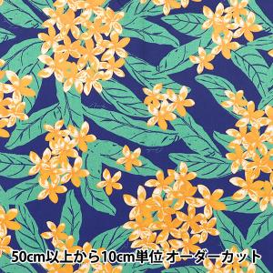【数量5から】 生地 『マウナロア TCハワイア...の商品画像