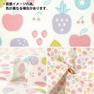【数量5から】 生地 『スケアプリント フルー...の詳細画像2