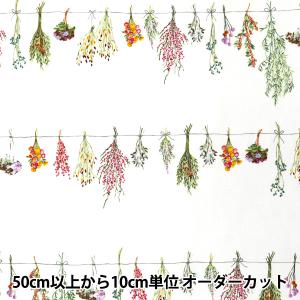 【数量5から】 生地 『mOmen-t モーメン...の商品画像