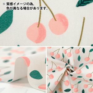 【数量5から】 生地 『kippis (キッピ...の詳細画像2
