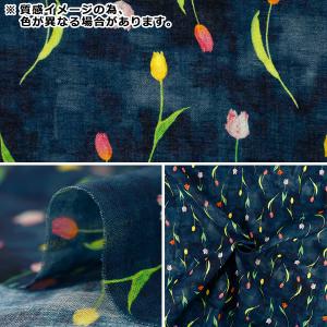【数量5から】 生地 『yui 綿麻コンパス ...の詳細画像2