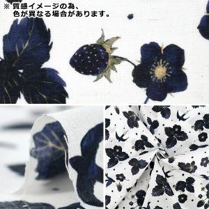 【数量5から】 生地 『yui 綿麻コンパス ...の詳細画像2