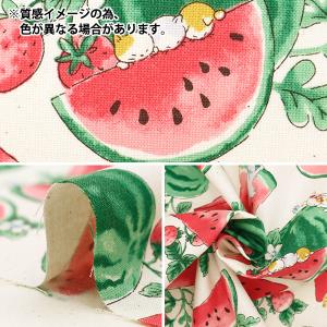 【数量5から】 生地 『NOVA シーチング ...の詳細画像2