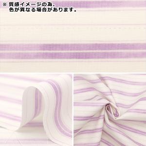 【数量5から】 生地 『スケア フレンドリーボ...の詳細画像2