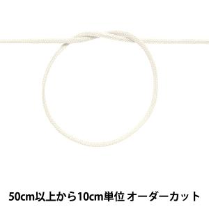 【数量5から】 手芸ひも 『カラーひも 幅約3mm 41番色 100-41』