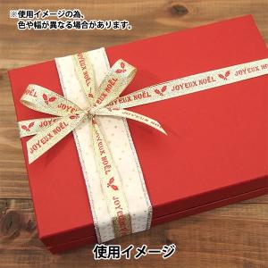 【数量5から】 リボン 『グランドメタル ノエ...の詳細画像2