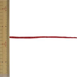 【数量5から】 リボン 『ペーパーラフィア 幅...の詳細画像1