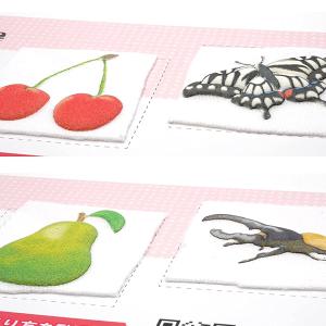 ワッペン 『ふくらむワッペン ヤマトカブト H...の詳細画像2