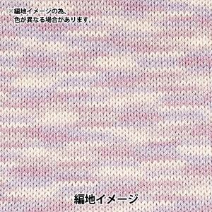 春夏毛糸 『ウォッシャブルコットン 5番色 パ...の詳細画像2