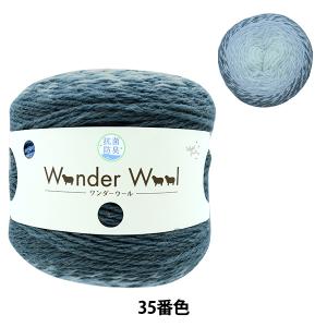 秋冬毛糸 『抗菌 ワンダーウール 35番色 ターコイズ&ブルー』