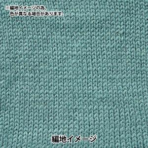 秋冬毛糸 『デイリーウールブレンド 6番色』 ...の詳細画像2