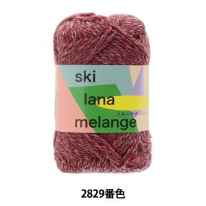 秋冬毛糸 『ski lana melange (スキー ラナメランジ) 2829番色』 SKIYARN スキーヤーン｜yuzawaya