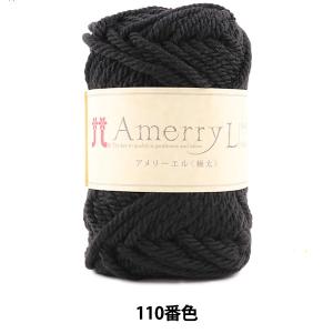 秋冬毛糸 『Amerry L (アメリーエル) ...の商品画像