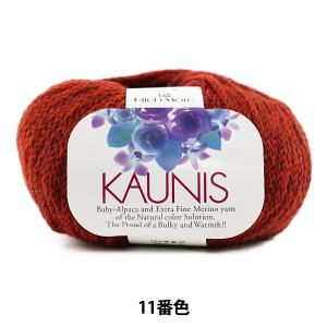 秋冬毛糸 『KAUNIS (カウニス) 11番色』 RichMore リッチモア