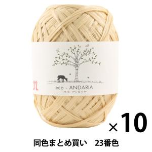 手芸糸 『エコアンダリヤ 23番色』 エコアンダリア ハマナカ