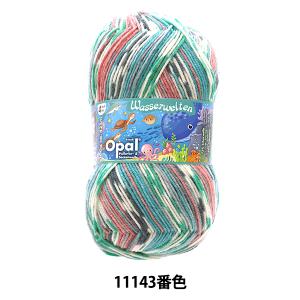 ソックヤーン 毛糸 『ウォーターワールズ 4ply 11143番色』