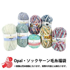 2023年 福袋 『Opal・ソックヤーン毛糸 3種(8玉) 6,800円+税』