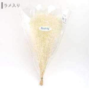 『ソフトカスミ草』 00010-015